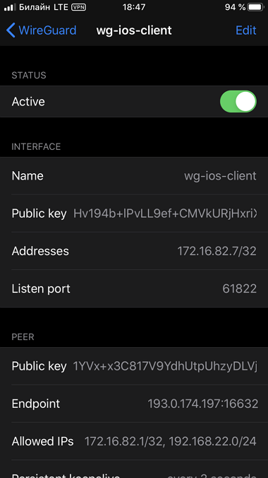 wireguard-ios-06-en.png