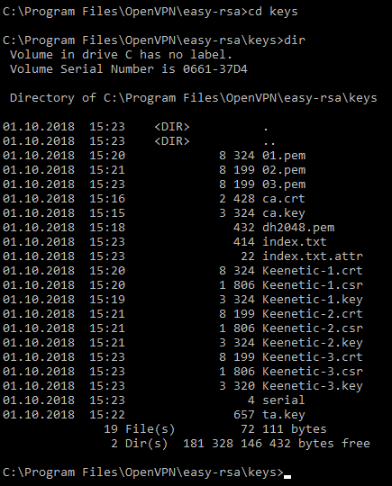 openvpn-server20-en.png