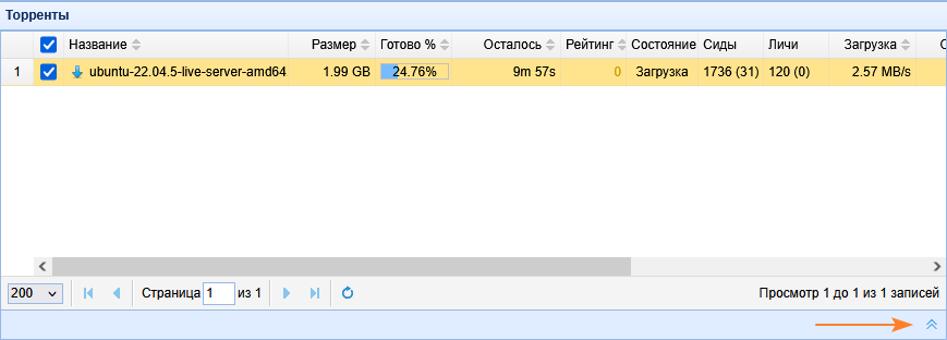 torrent08_en.png