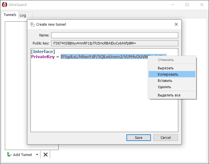 wireguard-windows-05-en.png