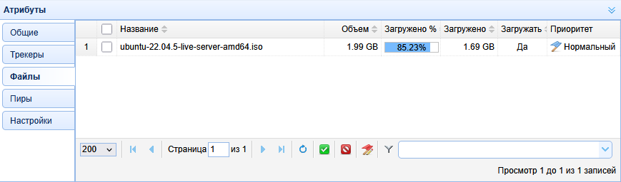 torrent12_en.png