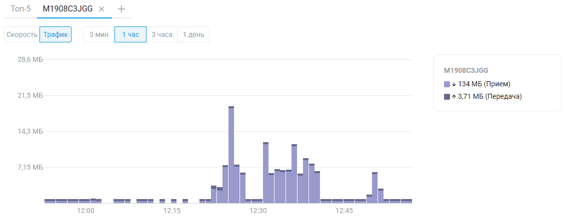 host_traffic_monitor5_en.png