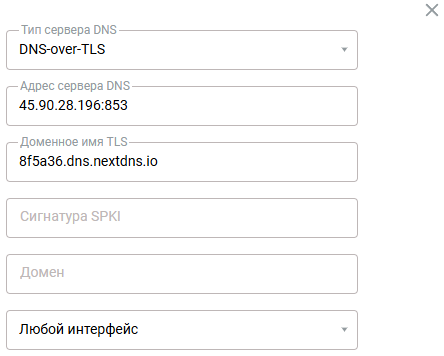 nextdns02-dot-en.png
