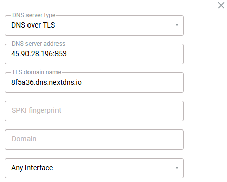 nextdns02-dot-en.png